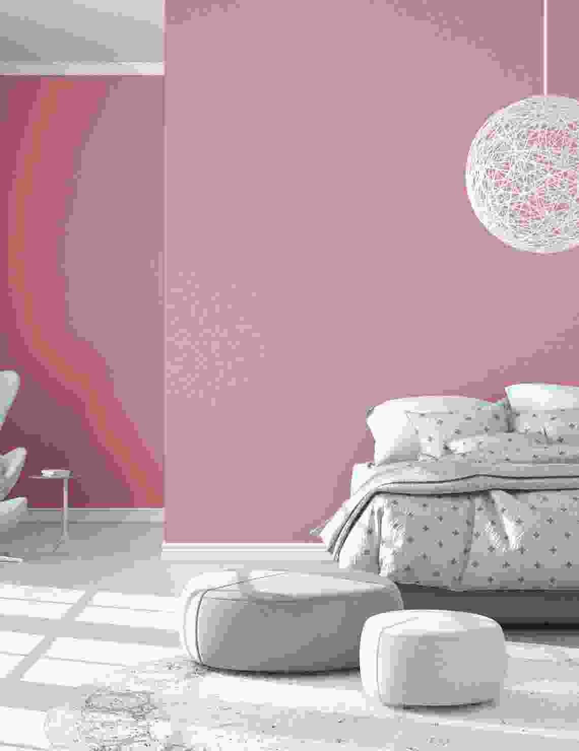 Product-Single-Color-Image-4