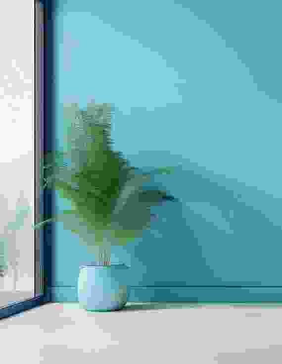 Gallery Thumb Gallery Thumb